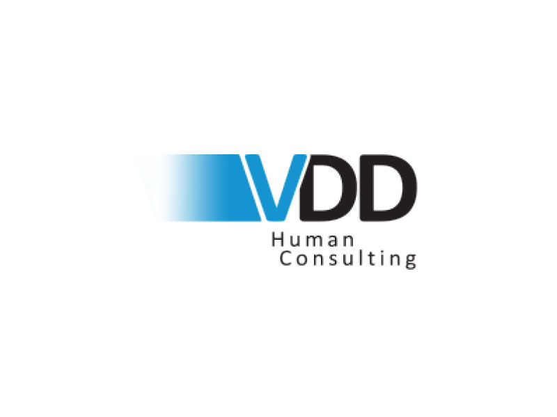 VDD HUMAN CONSULTING